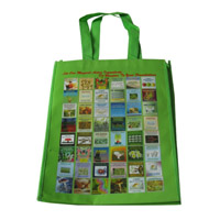 德阳LB11覆膜无纺布广告袋